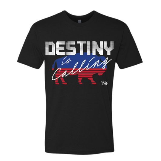 Destiny is Calling T Shirt